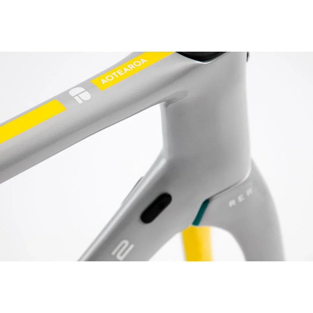 Chapter 2 Rere Frameset ( rim brake ) - Metallic Silver Yellow