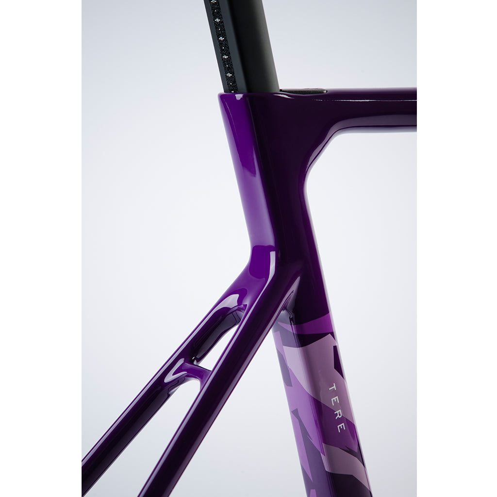Chapter 2 Tere Frameset ( disc brake ) - Purple Sky